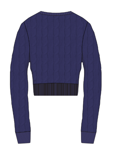 Women's Blue Cropped Sweater